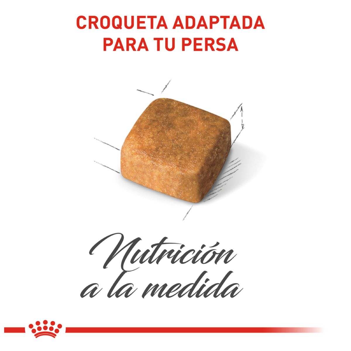Royal Canin Persian Kitten 1.37 Kg - Alimento Para Gaitto Persa