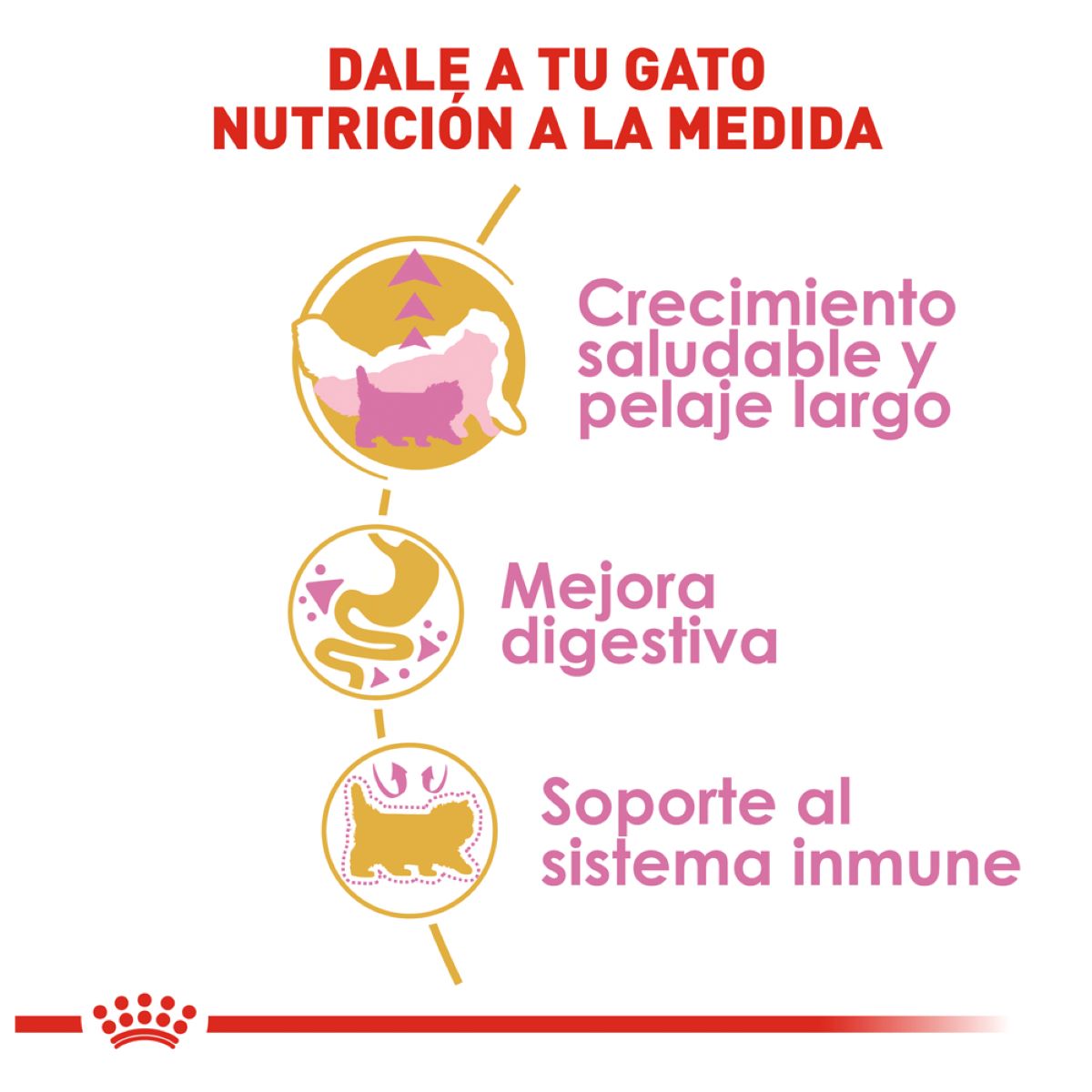 Royal Canin Persian Kitten 1.37 Kg - Alimento Para Gaitto Persa