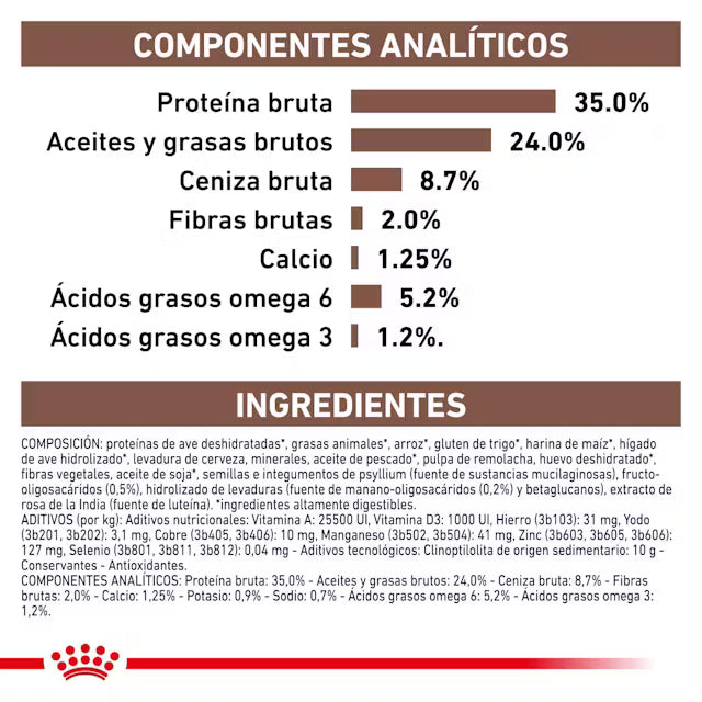 Gastrointestinal gatito