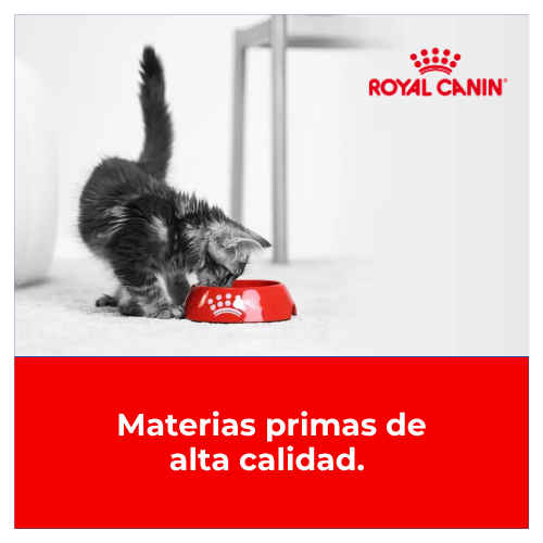 Materias primas de alta calidad
