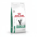Royal Canin Alimento Para Gatos Satiety Support Feline 8.5 kg
