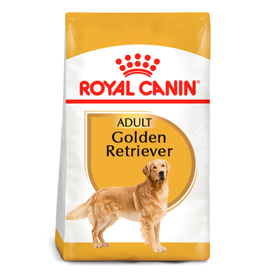 royal canin golden retriever adulto