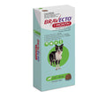 Bravecto 1 Mes para Perro de 10 a 20 Kg - 200 Mg - Antipulgas y Garrapatas