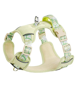 Pechera de Colores Pastel - Liampet.