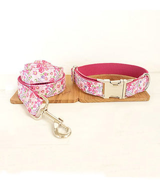 Correa y Collar Estillo Mandala Para Perros - Liampet