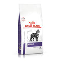 Royal Canin Adult Large Dog 12 Kg - Alimento para Perro