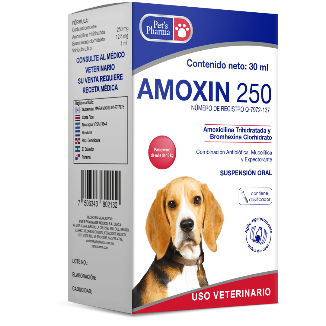 Amoxin Solución Oral 30ml - Pet's Pharma
