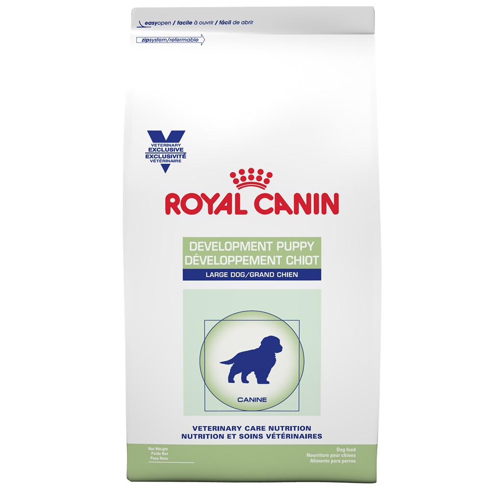 Alimento para Perro Royal Canin Development Puppy Large Dog, perro, Royal Canin, Mister Mascotas