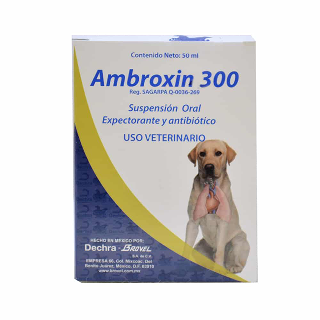 Ambroxin 300 - Dechra