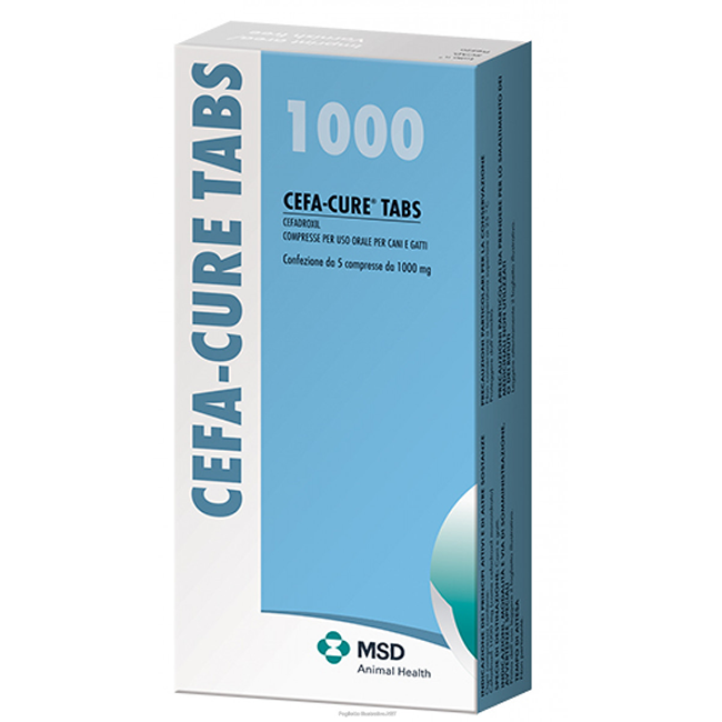 CEFA-CURE TABS 1000 MG