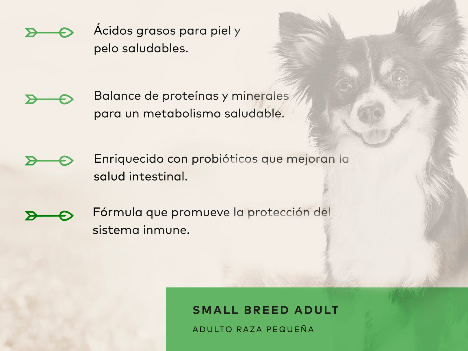 Back 2 Nature Adulto Razas Pequeñas - Alimento Holistico para Perro, perro, Back 2 Nature, Mister Mascotas