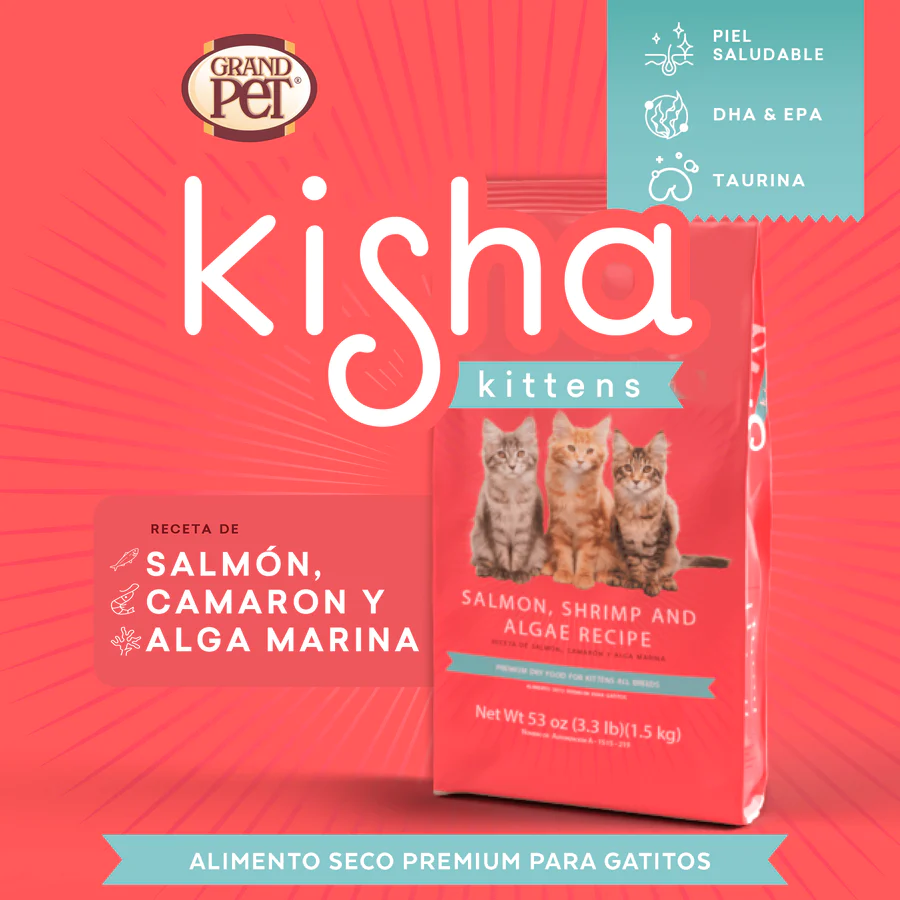 Kisha Alimento para Gatitos