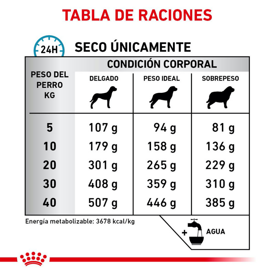 Royal Canin Anallergenic