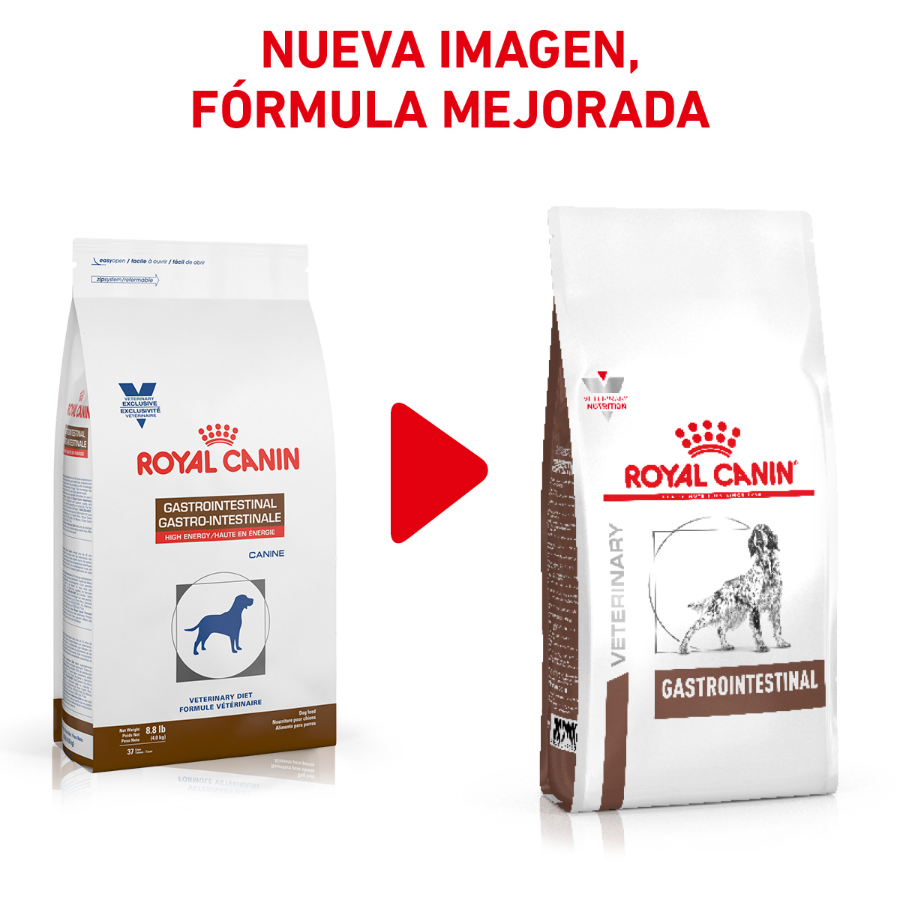 Royal Canin Gastrointestinal High Energy