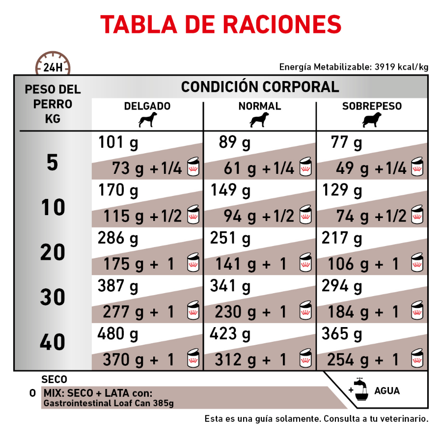 Royal Canin Gastrointestinal High Energy Croquetas para Perro