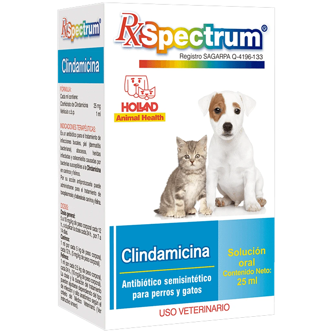 Spectrum Clindamicina 25 Ml - Holland