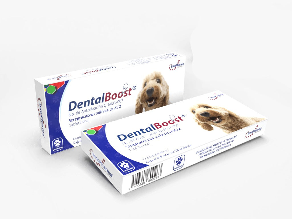 dental boost