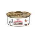 Lata Recovery Royal Canin  (Caja )