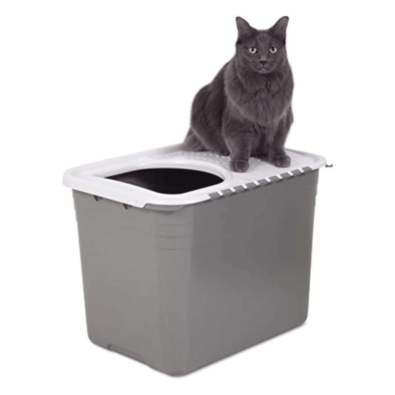 Caja para Gatos