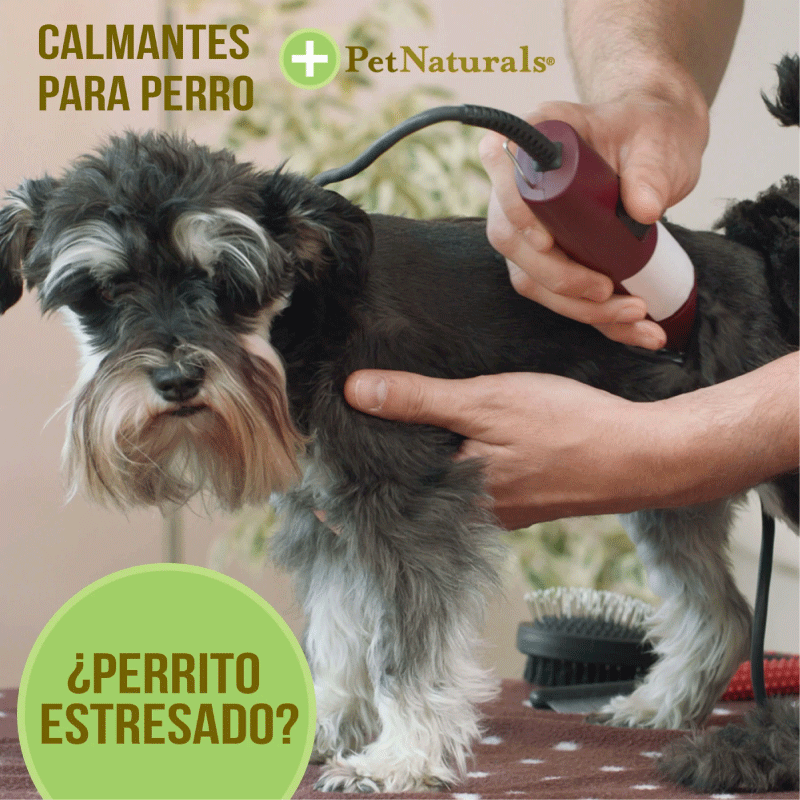 Calmante para Perros Pet Naturals