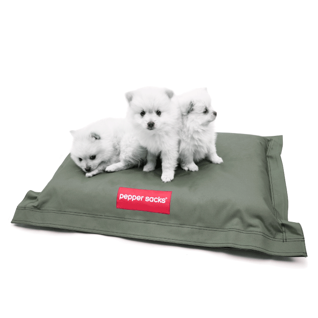 Camas para Perros Pequeños Pepper Sacks