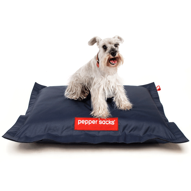 Camas para store perros schnauzer