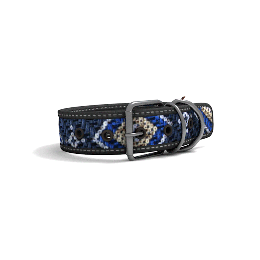 Collar Perro Cool Can