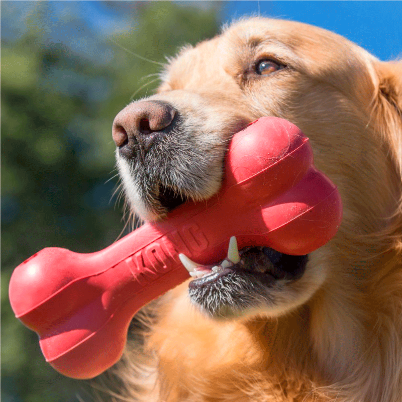 hueso de juguete para perro