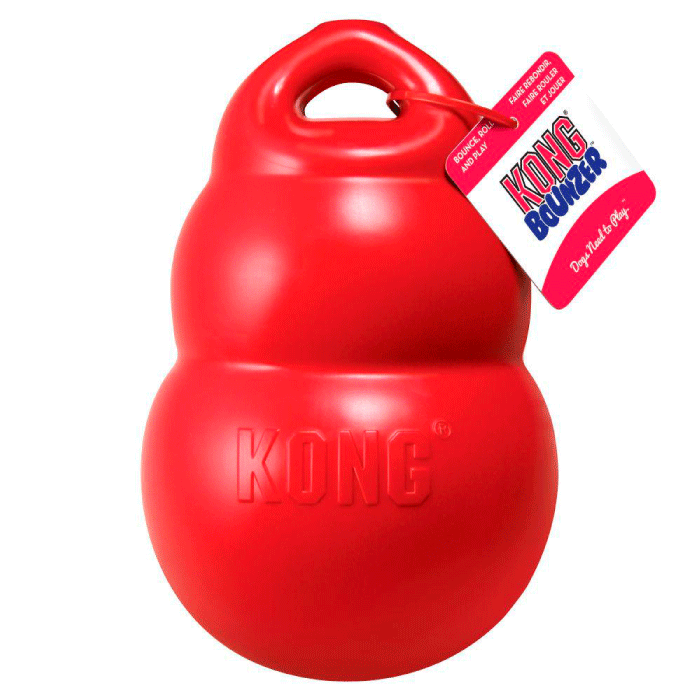 kong bounzer