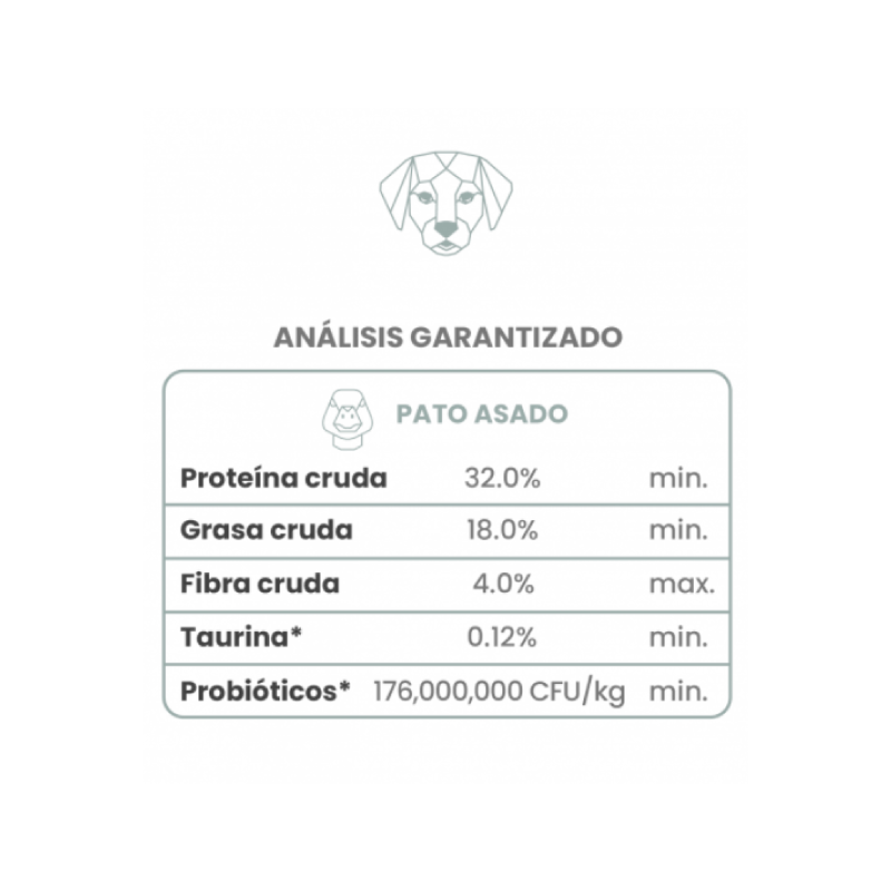 taste of the wild pato asado