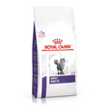 Royal Canin Adult Feline - Alimento para Gato Adulto